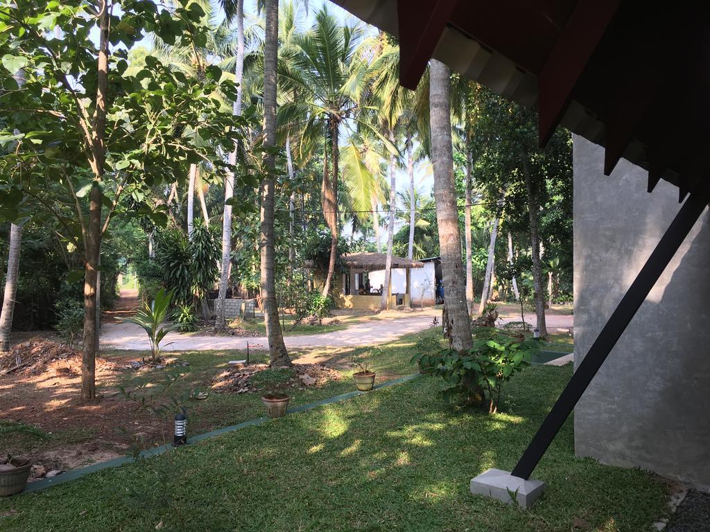 Elegant Hamlets Home Stay Chilaw Ngoại thất bức ảnh